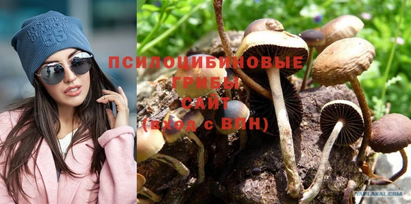 бутират Бородино