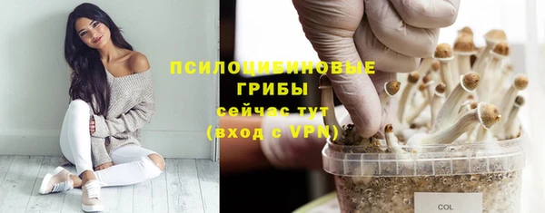бутират Бородино